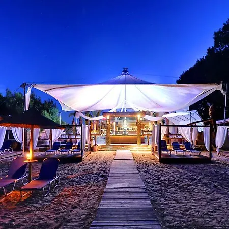 Island Bamboo (adults Only)